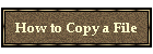 How to Copy a File