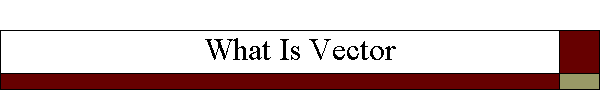 What Is Vector